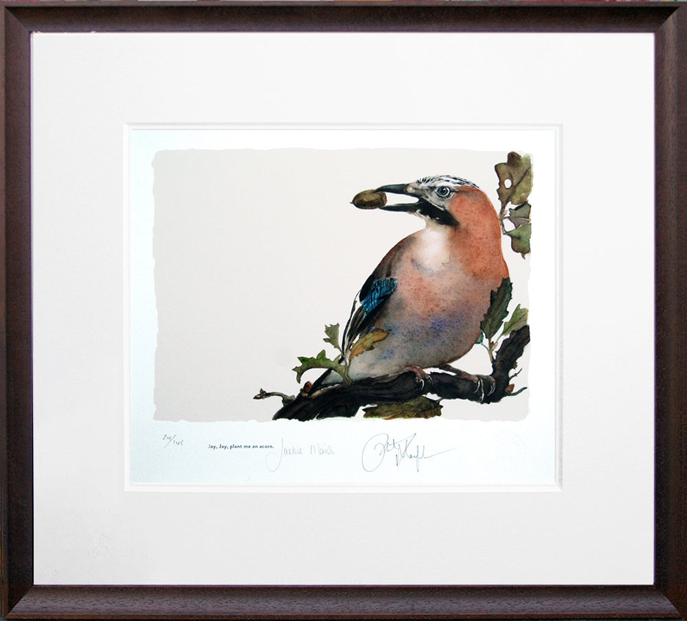 The Lost Spells - Jay Brown Scoop Frame