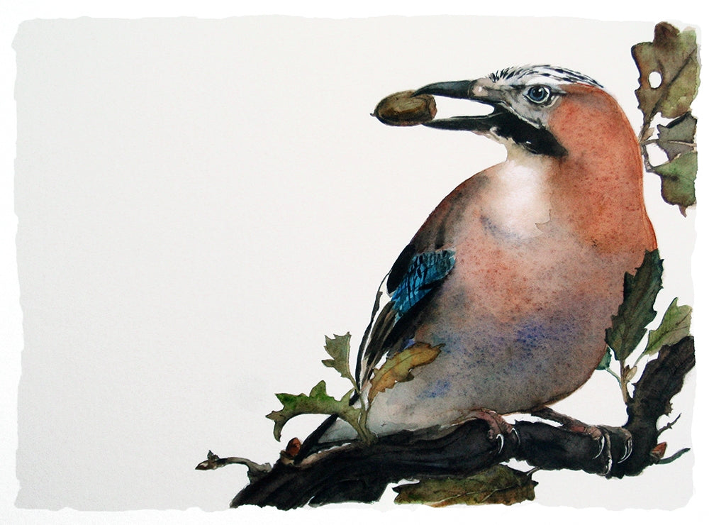 The Lost Spells - Jay