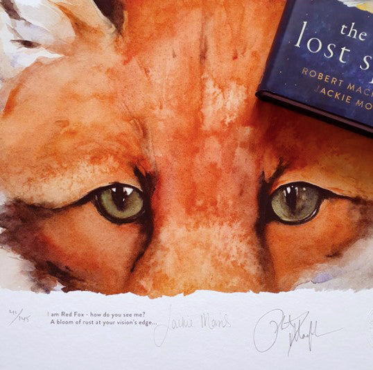 The Lost Spells - Red Fox