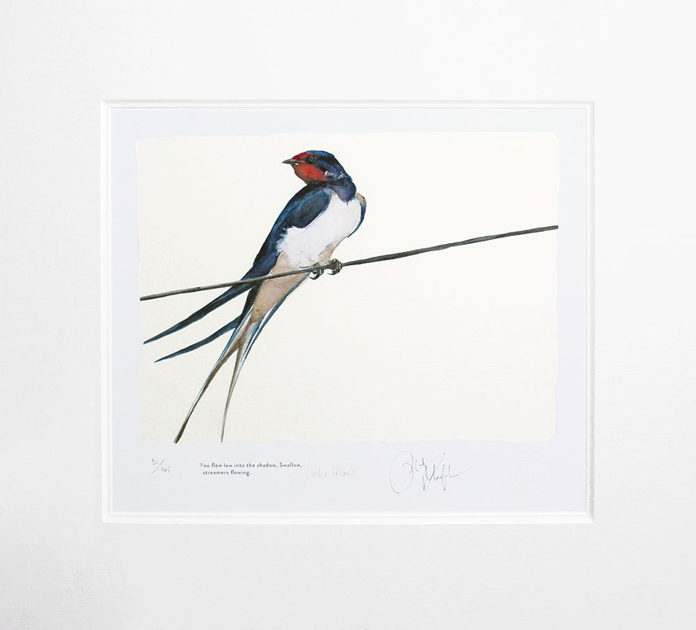 The Lost Spells - Swallow Unframed