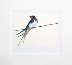 The Lost Spells - Swallow Unframed