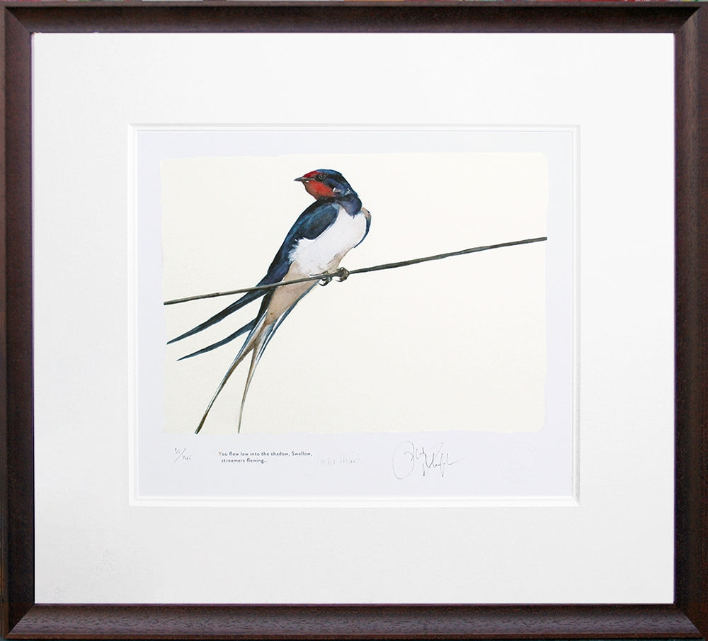 The Lost Spells - Swallow Brown Scoop Frame