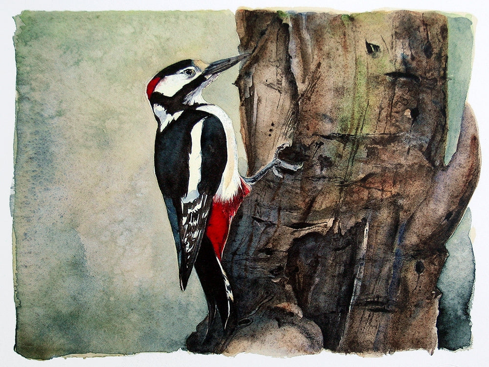 The Lost Spells - Great Spotted Woodpecker