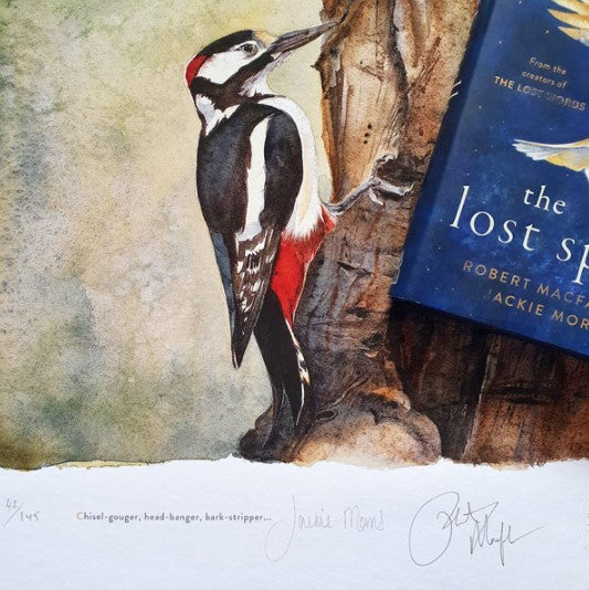 The Lost Spells - Great Spotted Woodpecker