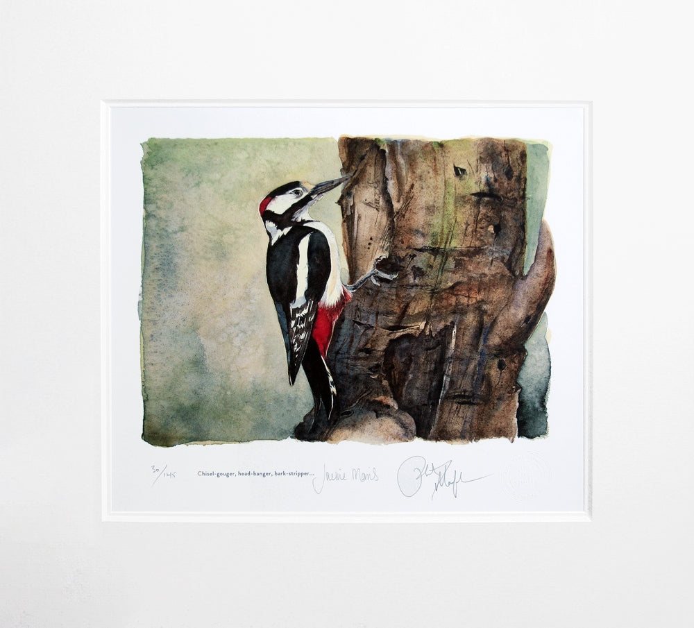 The Lost Spells - Great Spotted Woodpecker Unframed