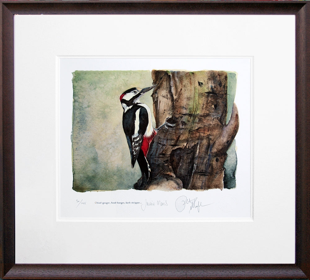 The Lost Spells - Great Spotted Woodpecker Brown Scoop Frame