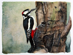 The Lost Spells - Great Spotted Woodpecker