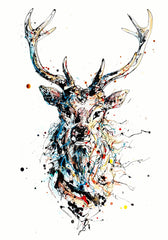 Print Ltd Edition Animals - Majestic