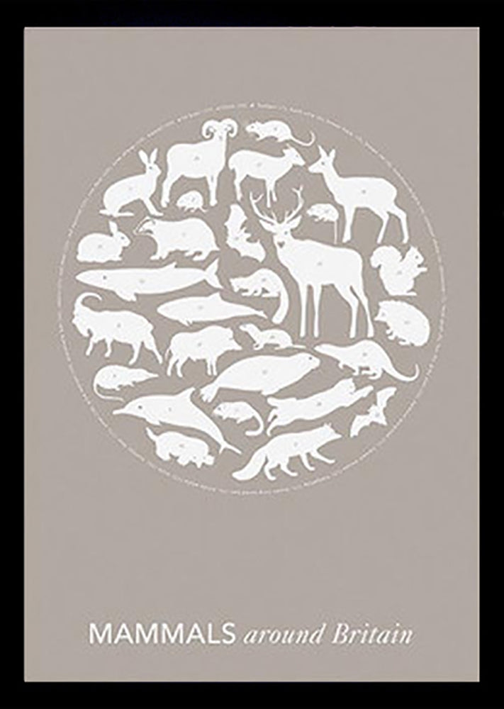 Animals - Mammals Around Britain In Stone Black frame