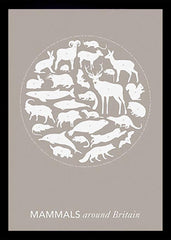 Animals - Mammals Around Britain In Stone Black frame