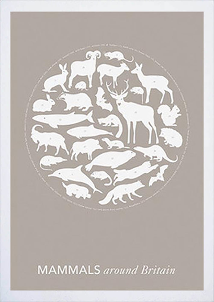 Nature - Mammals Around Britain in Stone Frame White