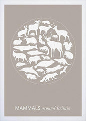 Nature - Mammals Around Britain in Stone Frame White
