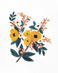 Marigold Botanical