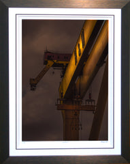 Goliath 2 H & W - Ltd Edition Framed