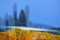 Mist Over The Forest