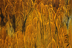 Mist Over The Forest