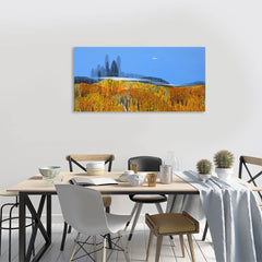 Mist Over The Forest