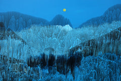 Moonlight Over The Forest