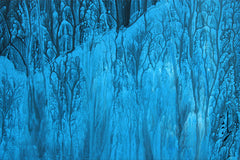 Moonlight Over The Forest