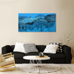 Moonlight Over The Forest