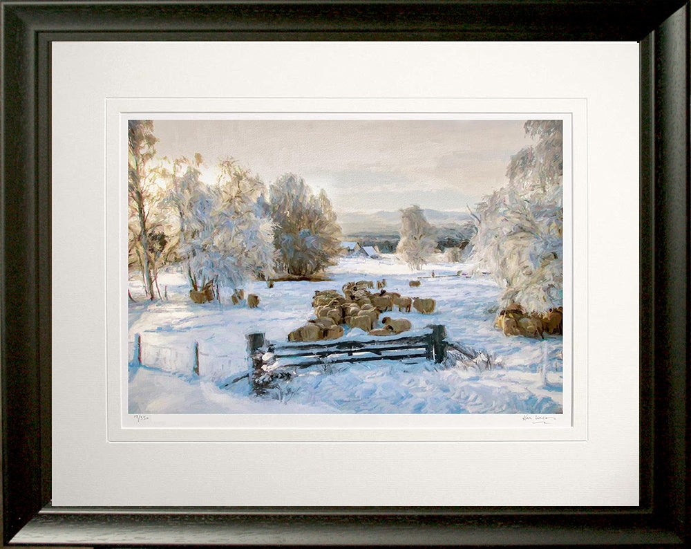 Other - Morning Sun Frame Black Moulded 60x47.5