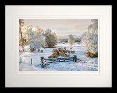 Other - Morning Sun Flat Black Frame