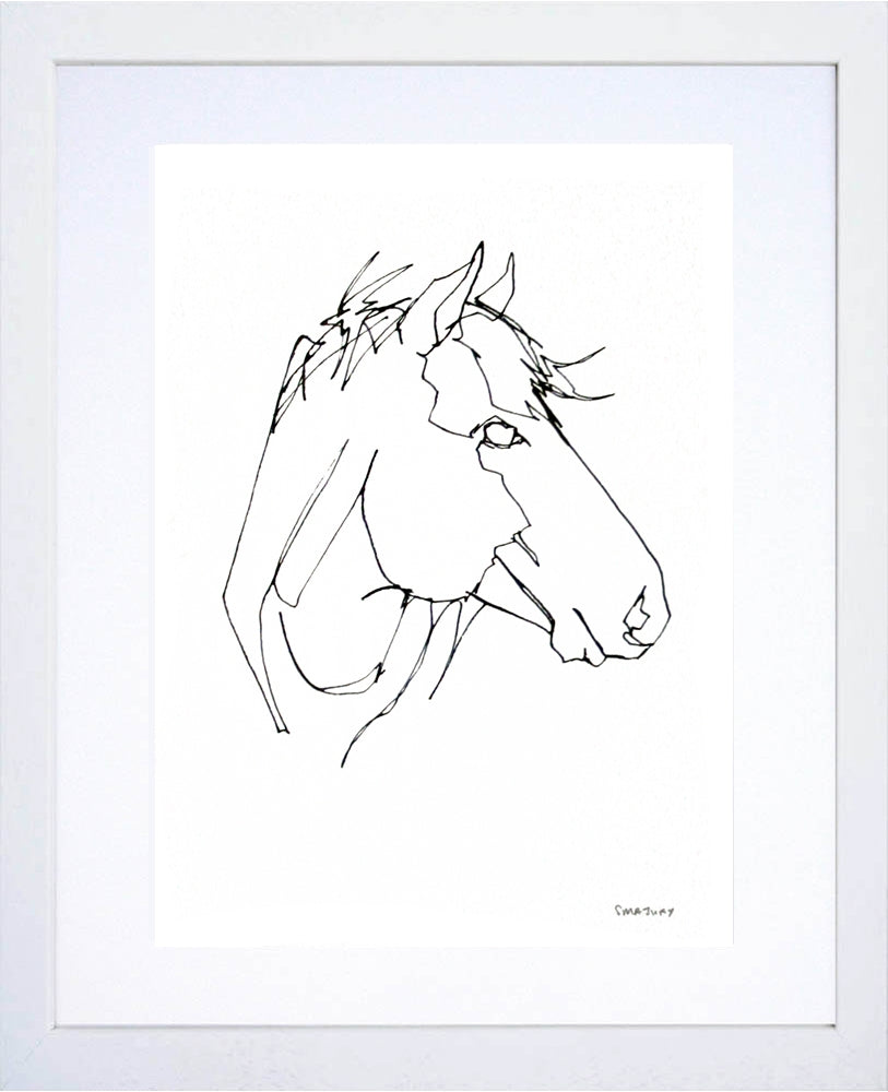 Animals Horse - Mountain Horse White Frame