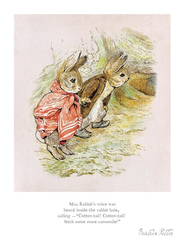 Peter Rabbit - Mrs Rabbit's Voice was Heard