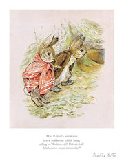 Peter Rabbit - Mrs Rabbit's Voice was Heard