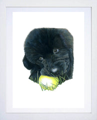 Luna Newfoundland White Frame