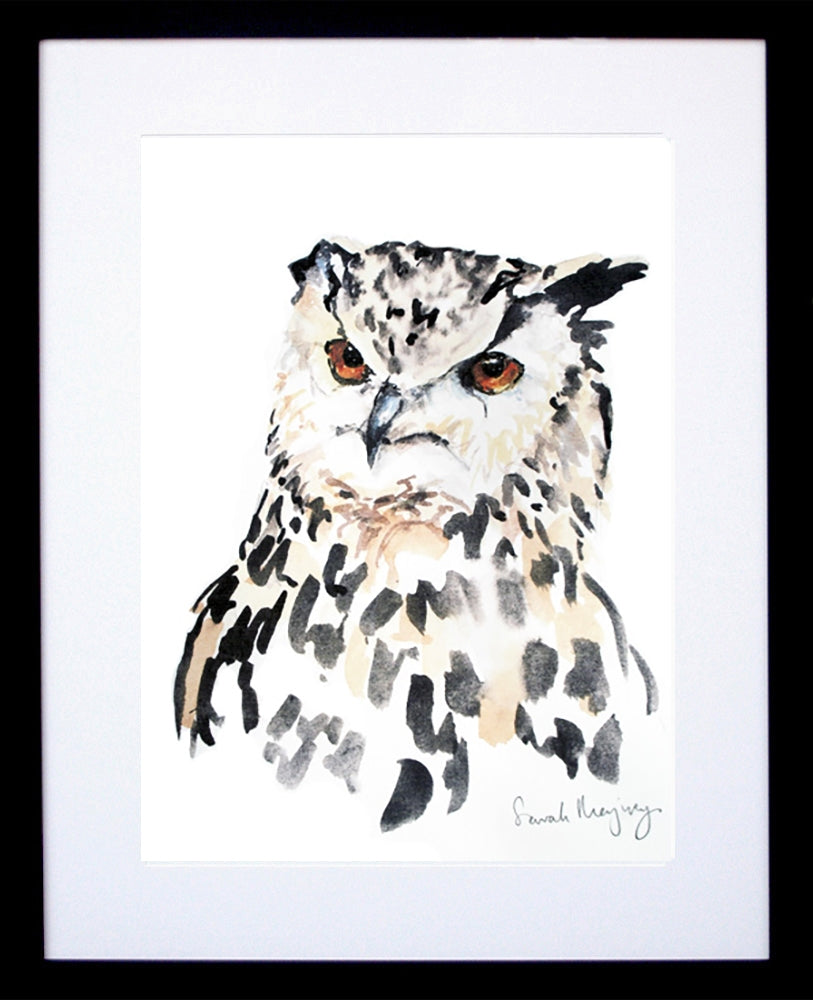 Animals Bird - Night Owl Frame Black