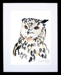 Animals Bird - Night Owl Frame Black