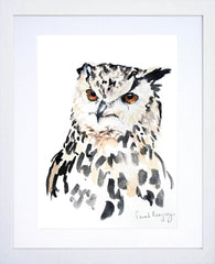 Animals Bird - Night Owl White Frame