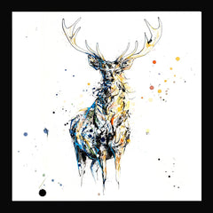 Print Open Edition Animals - Nightfall-30 x 30-Black Box Frame (No Mount)