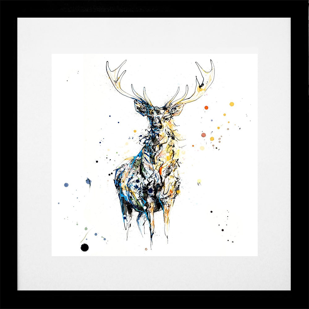 Print Open Edition Animals - Nightfall-30 x 30-Black Box Frame (With Mount)