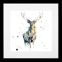 Print Open Edition Animals - Nightfall-30 x 30-Black Box Frame (With Mount)