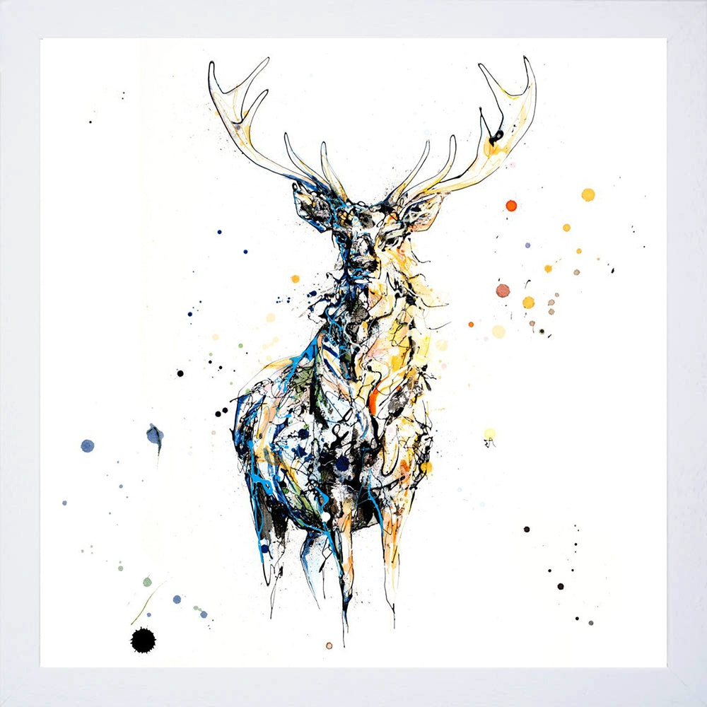 Print Open Edition Animals - Nightfall-30 x 30-White Box Frame (No Mount)