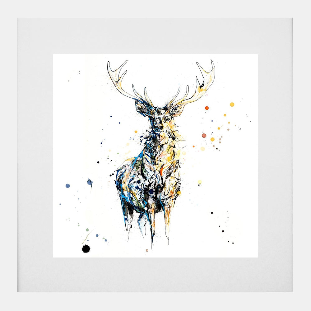 Print Open Edition Animals - Nightfall-30 x 30-White Box Frame (With Mount)