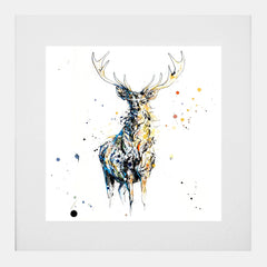 Print Open Edition Animals - Nightfall-30 x 30-White Box Frame (With Mount)