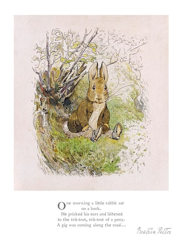 Peter Rabbit - Little Benjamin Said