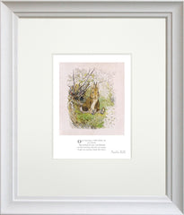 Peter Rabbit - One Morning a Little Rabbit - Framed