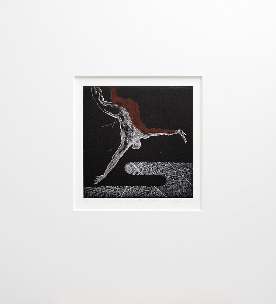 Ornithology Plate VI Unframed