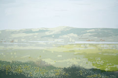 Overlooking Holywood