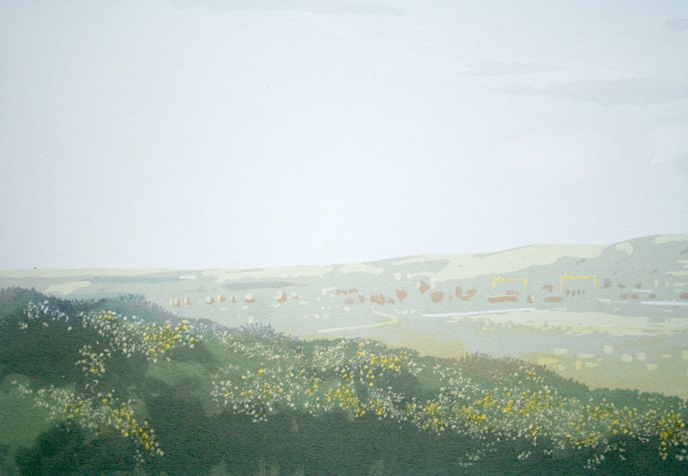 Overlooking Holywood