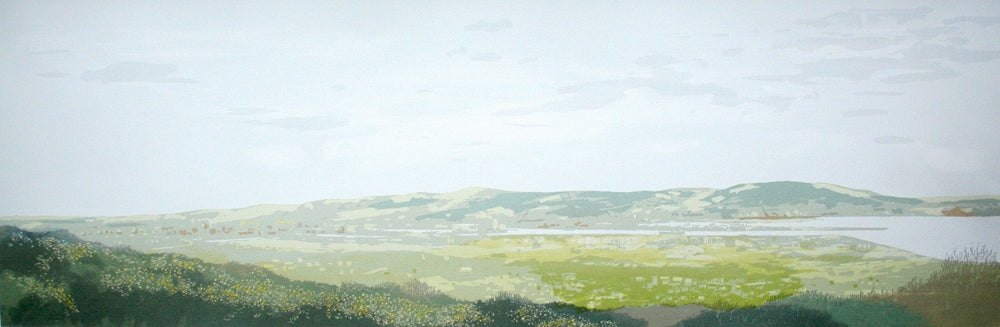 Overlooking Holywood