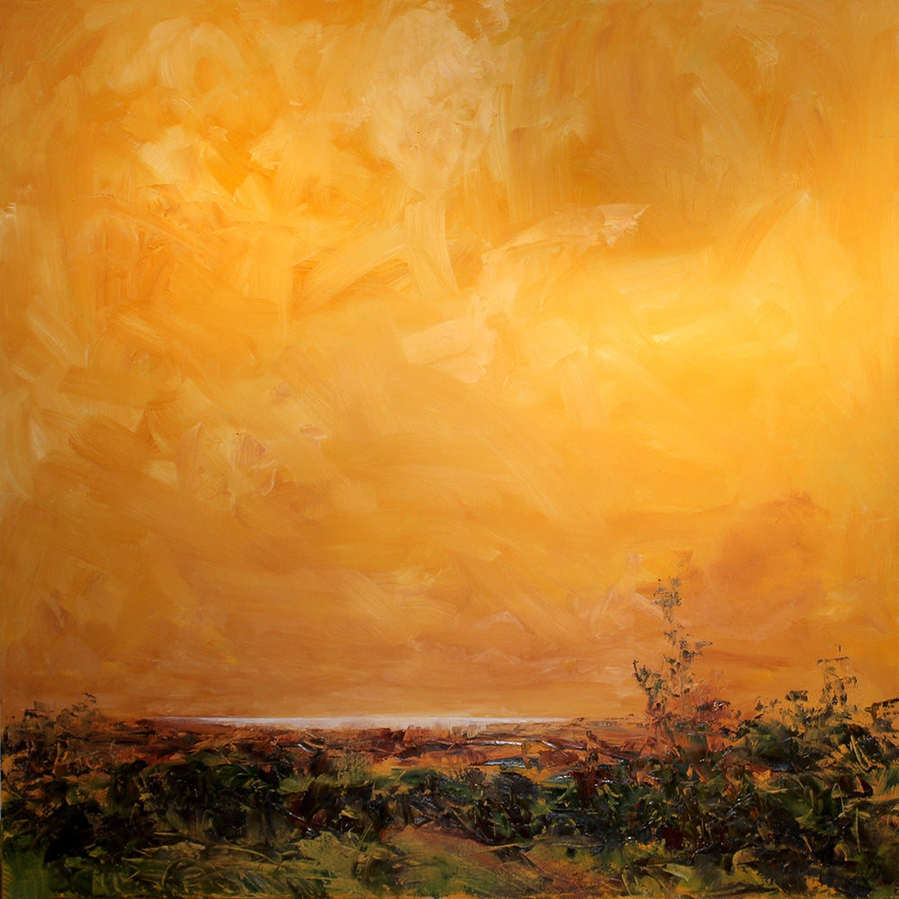 Overlooking Lough Neagh