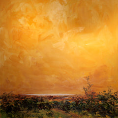 Overlooking Lough Neagh