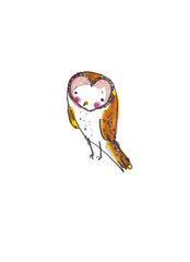 Owl