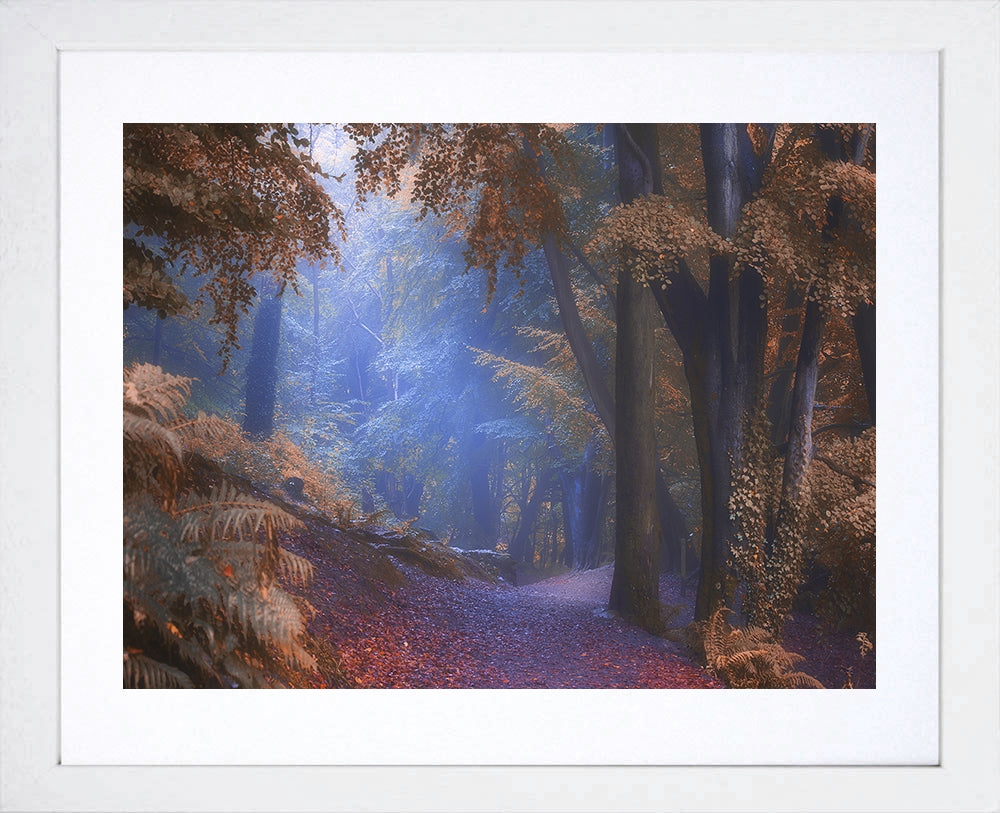 Path to the Pit - Redburn Holywood - White Box Frame