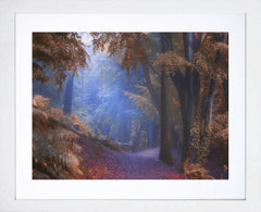 Path to the Pit - Redburn Holywood - White Box Frame